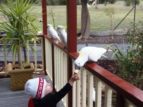 Halls Gap Valley Lodges Экстерьер фото